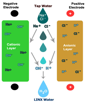 LINX Evolution Water System - 90% less waste than Reverse Osmosis!