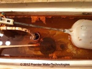 Iron Bacteria - a Common Well Water Problem in Minnesota Private Wells